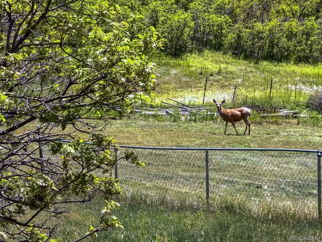 a kitchen with granite countertop a sink stainless steel appliances wooden floor and a window
