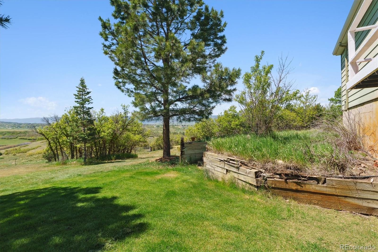 2938 West Wolfensberger Road Sedalia, CO 80135 - Photo 8 of 50 a garden with trees in the background