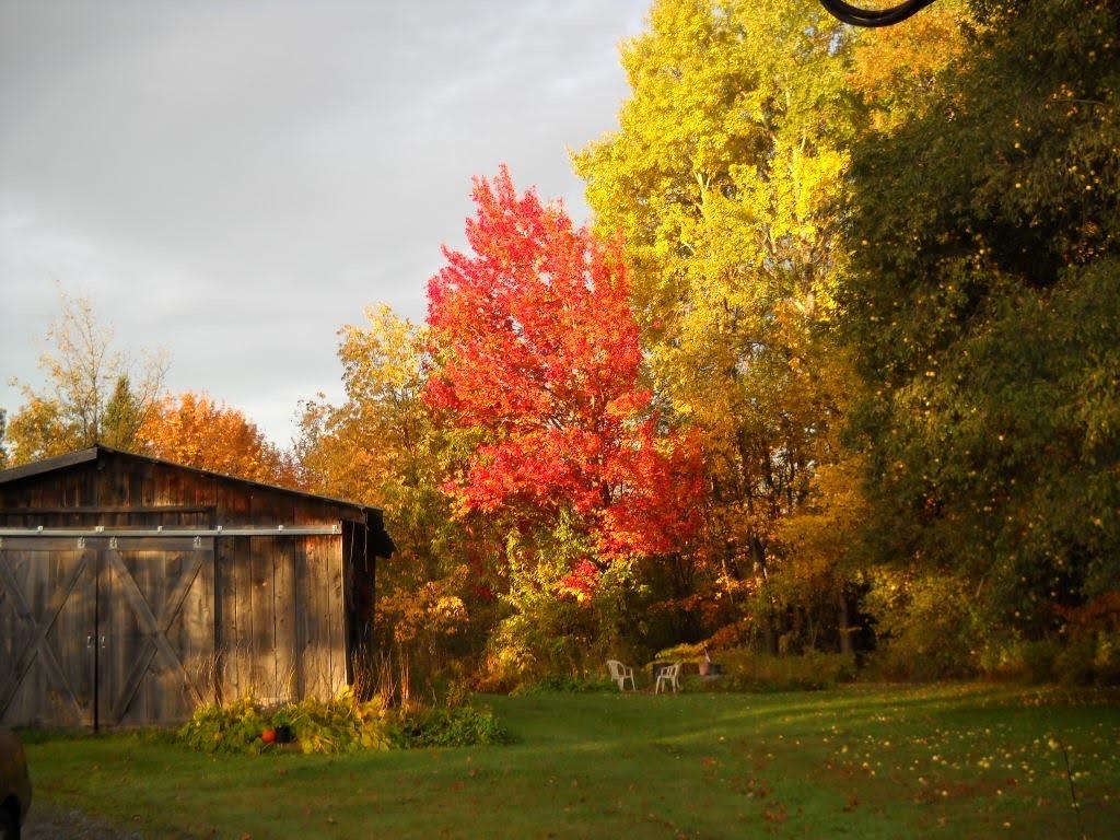 771 Old Deuso Road Eden, VT 05652 - Photo 23 of 25