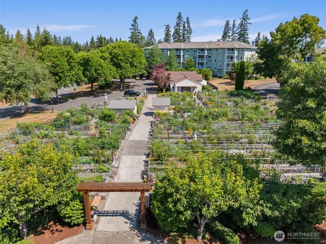 a city street lined with buildings and trees