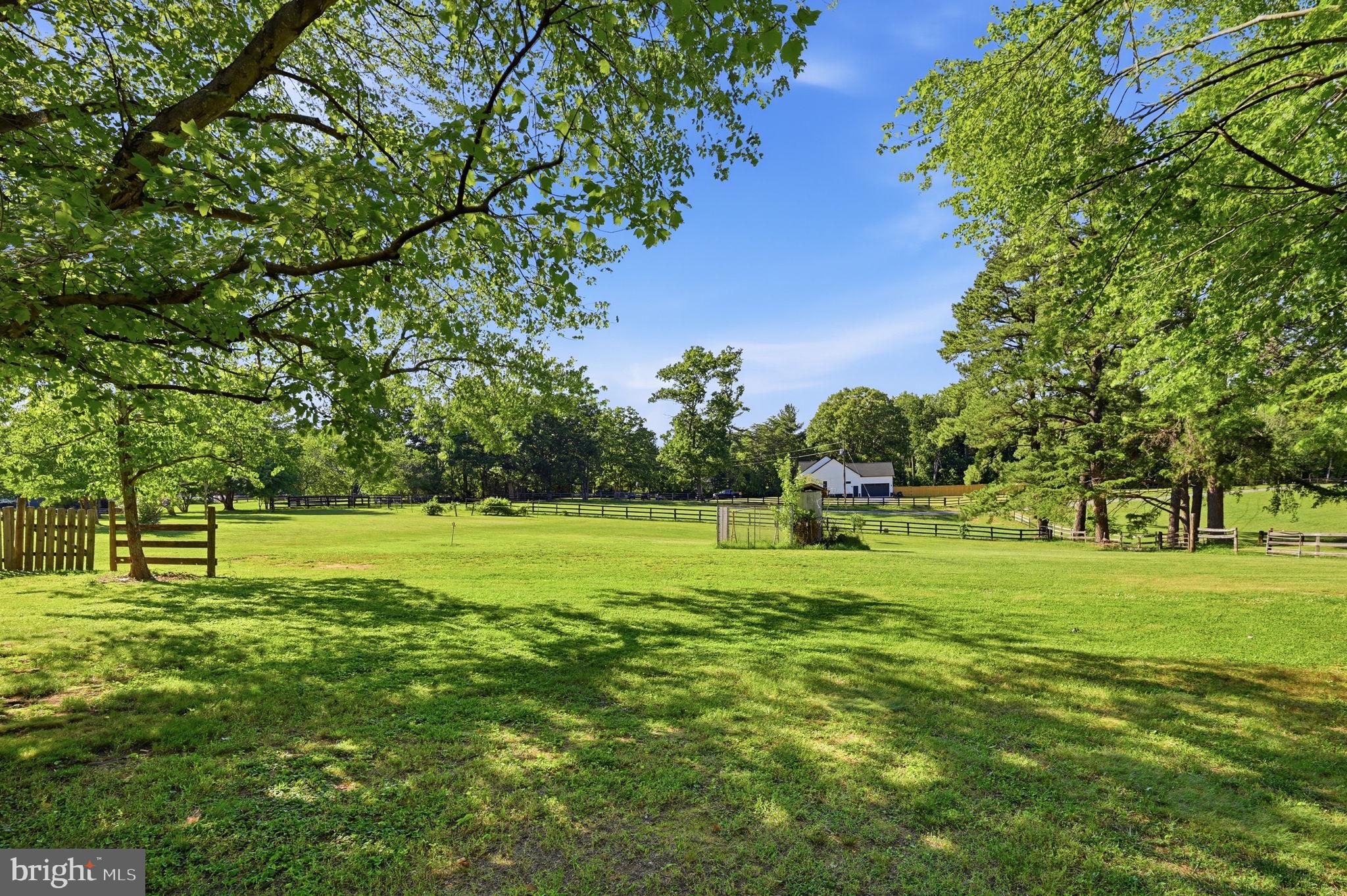 9337 Everona Road Unionville, VA 22567 - Photo 28 of 46 364 feet of road frontage. Fruit trees and berries