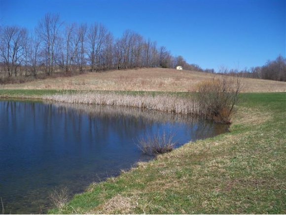 419 Russell Road Newark Valley, NY 13811 - Photo 10 of 19 Gallery Image 10