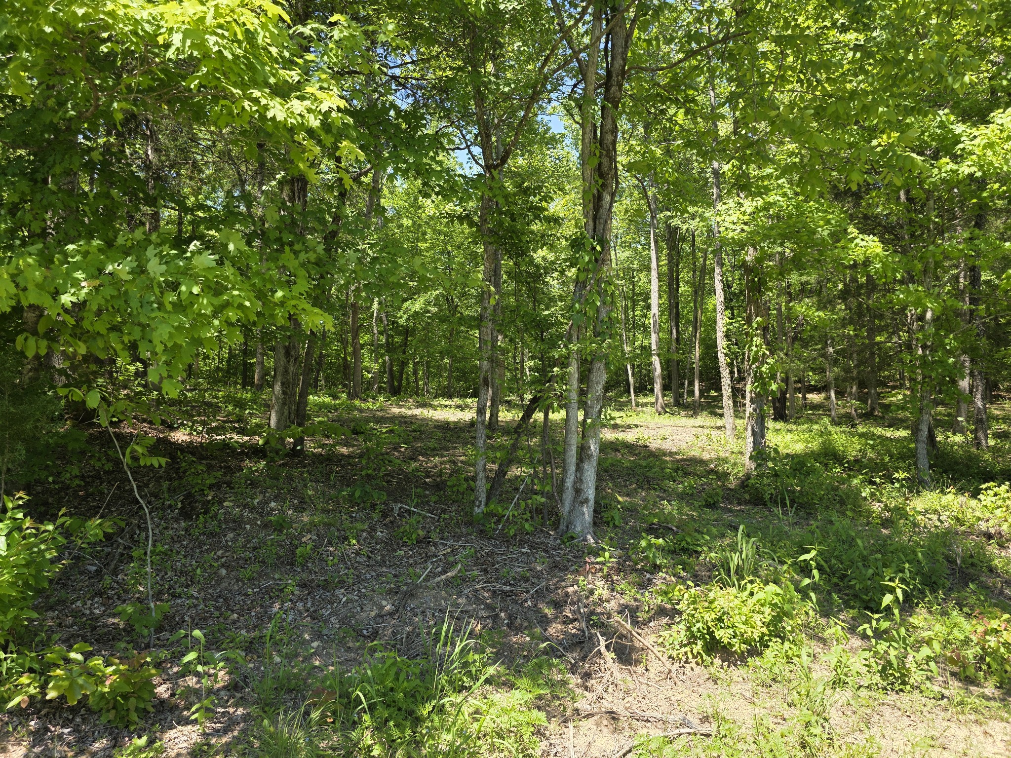 0 Birdsong Road Holladay, TN 38341 - Photo 10 of 29 Gallery Image 10