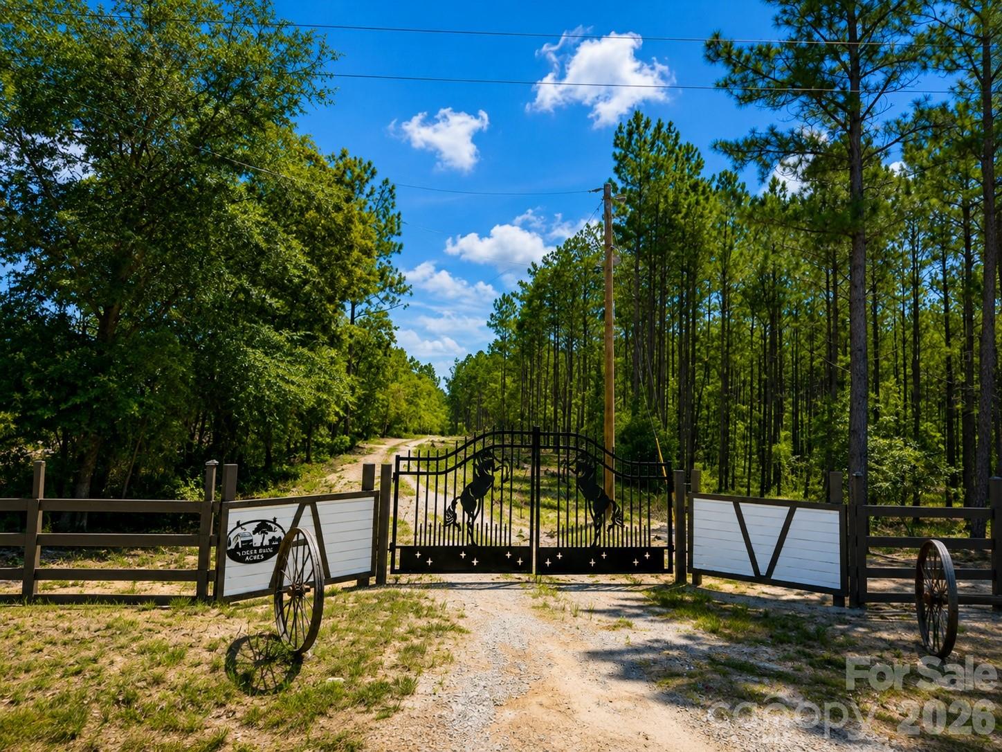 3203 Landfill Road Mount Croghan, SC 29727 - Photo 7 of 48 Gallery Image 7