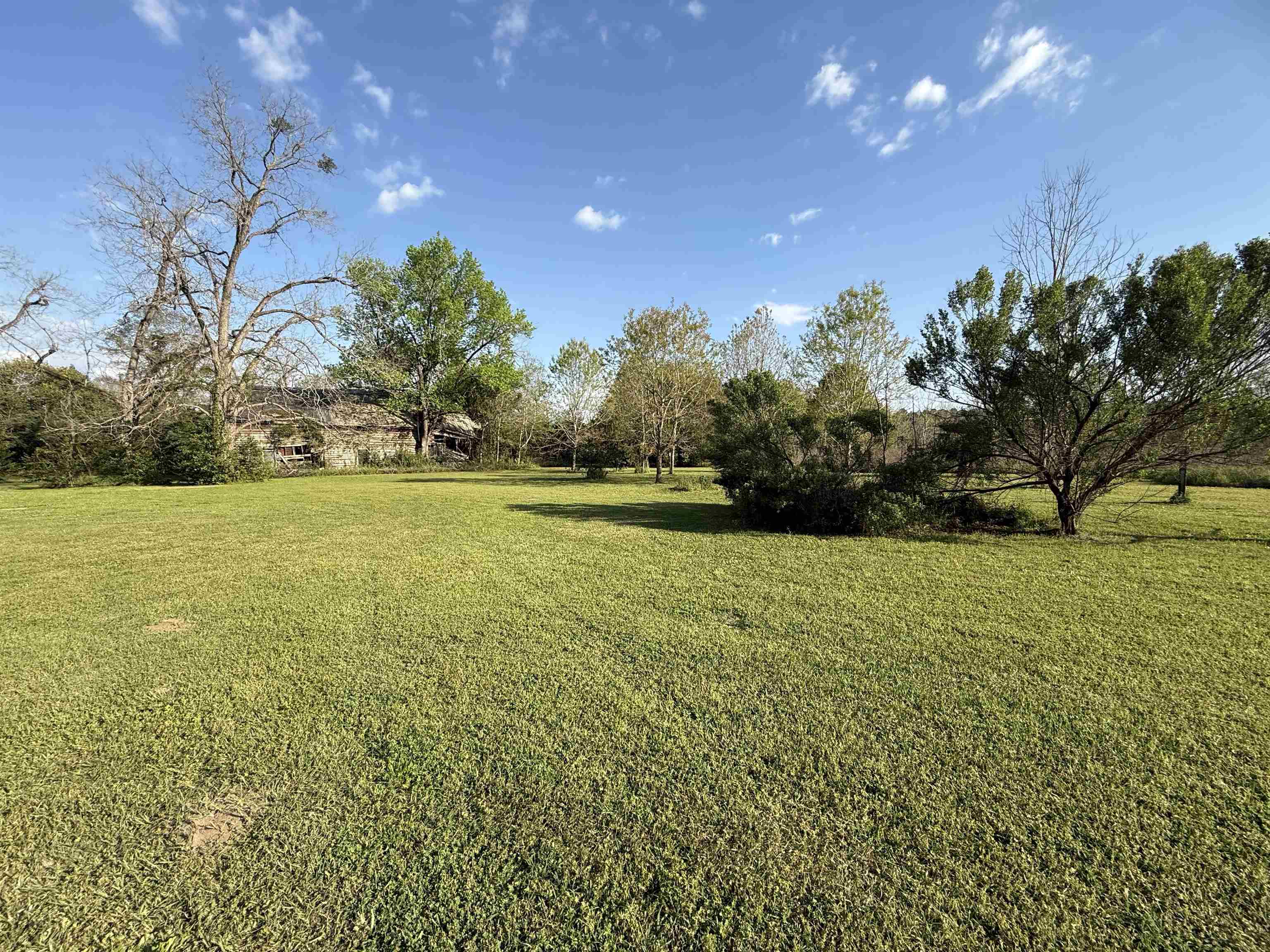 137 Wayside Farm Road Havana, FL 32333 - Photo 13 of 17 Gallery Image 13