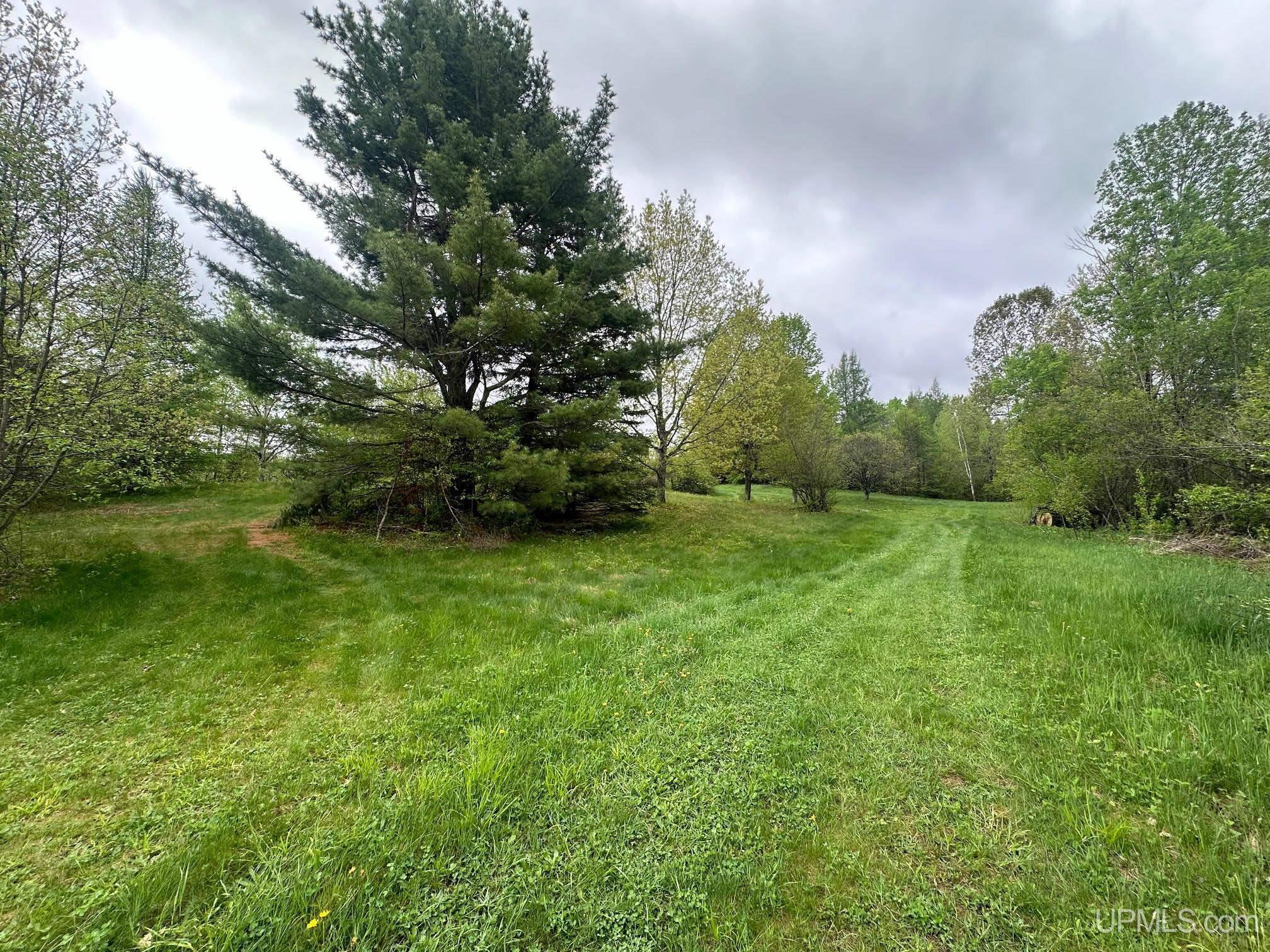 1390 North Co Road Skandia, MI 49885 - Photo 4 of 22