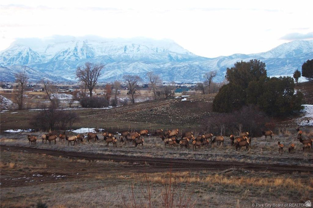 470 Lindsay Spring Road Heber City, UT 84032 - Photo 62 of 65