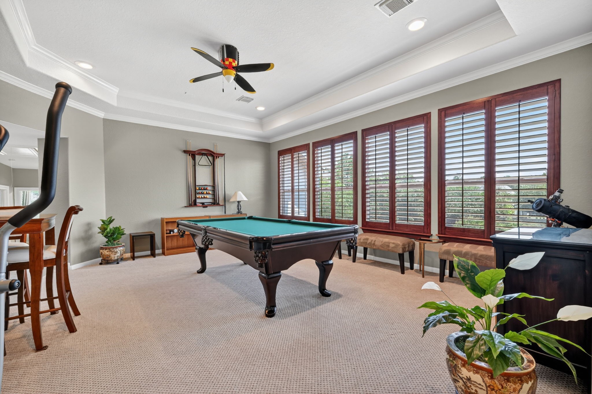 15 White Meadow Court Spring, TX 77379 - Photo 22 of 48 Step up game room with plantation shutters and full backyard views