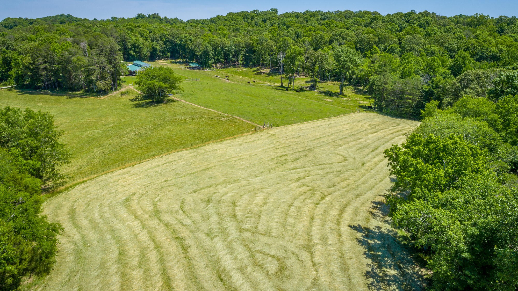 1655 West Cove Road Chickamauga, GA 30707 - Photo 53 of 62 Gallery Image 53