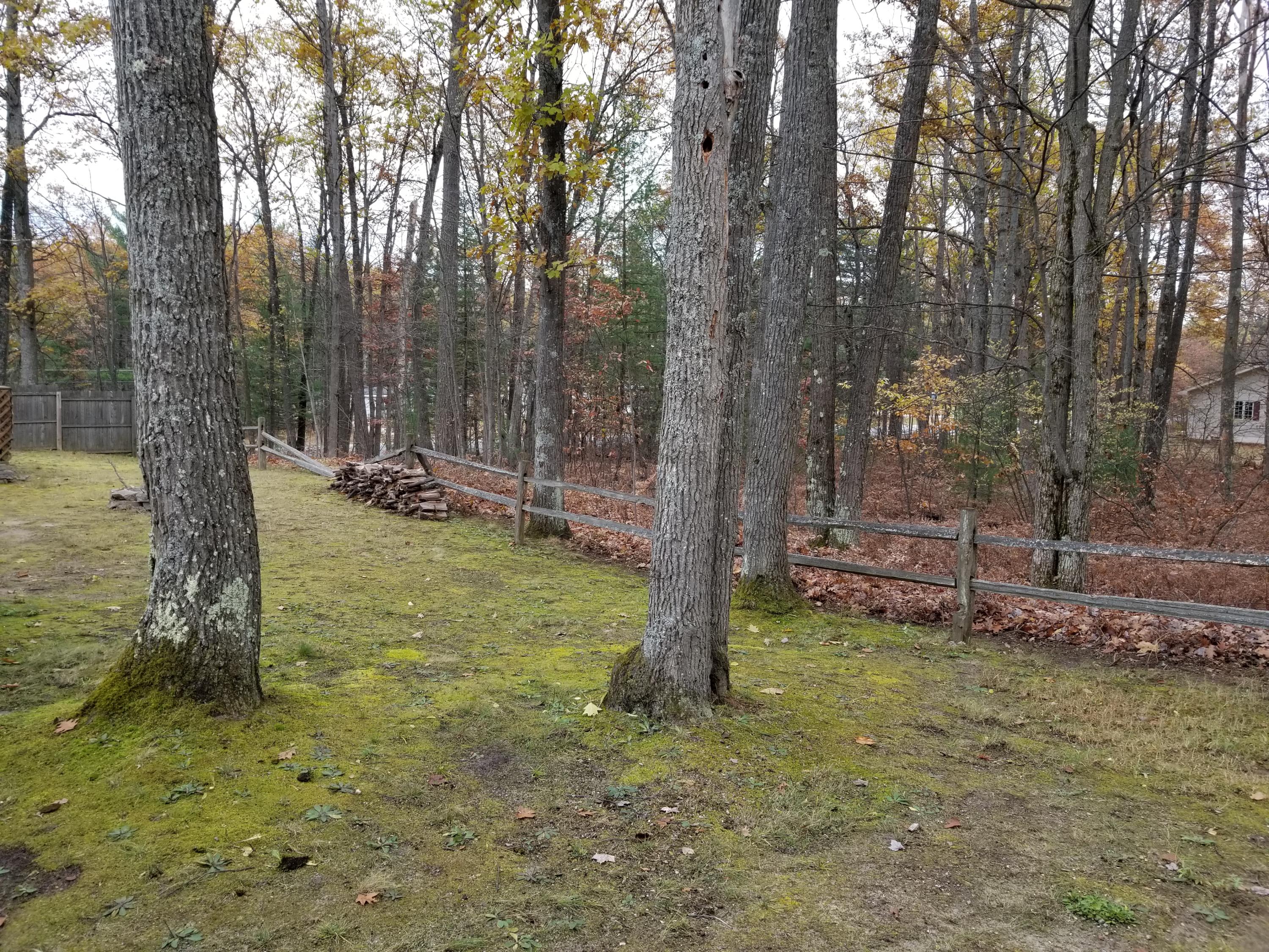 5827 North Red Oak Road Lewiston, MI 49756 - Photo 6 of 27 Gallery Image 6
