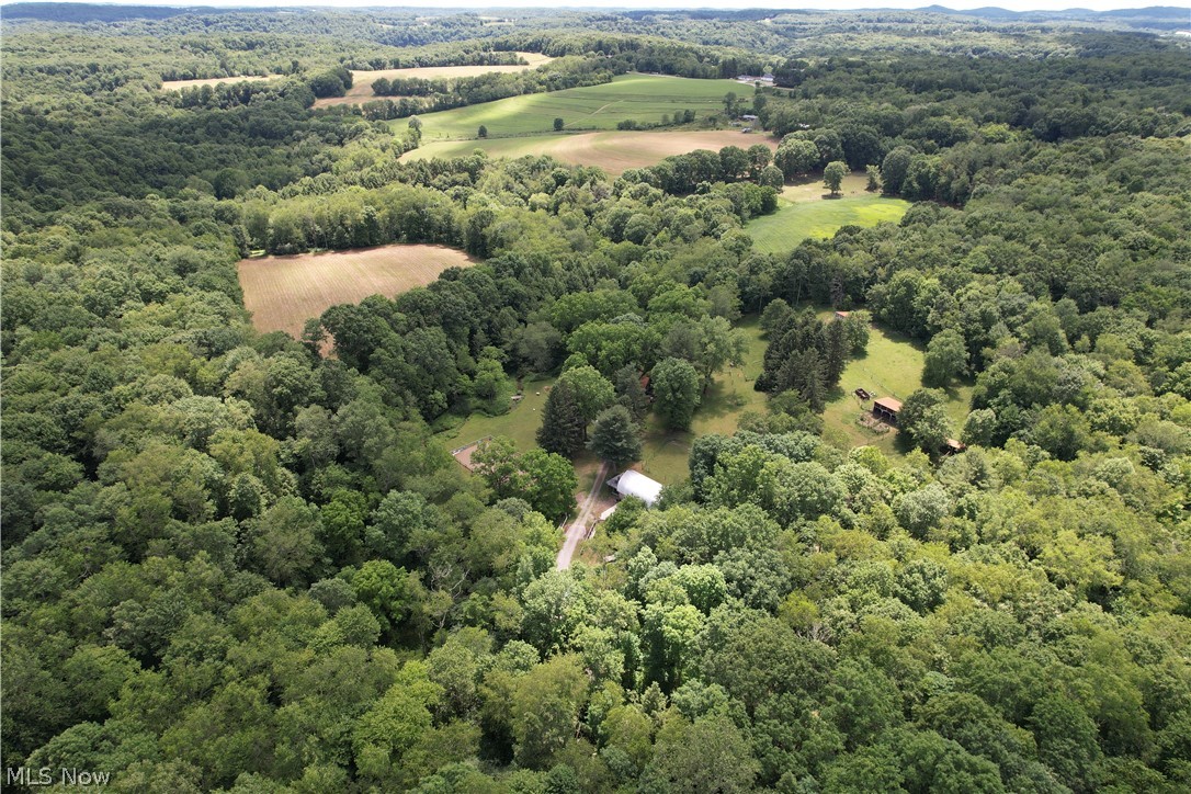 11811 Gaston Road Rogers, OH 44455 - Photo 1 of 38 WELCOME TO PARADISE! 11811 Gaston Rd. Negley/Rogers, OHIO sits on nearly 28 acres of land, with a functional and featured cabin to relax in! Not to mention the Q-Hut that's over 1,000 square feet and has electric, the horse arena is 50x80 and there's plenty of usable space that could be built out for your needs. Schedule your appointment today!
