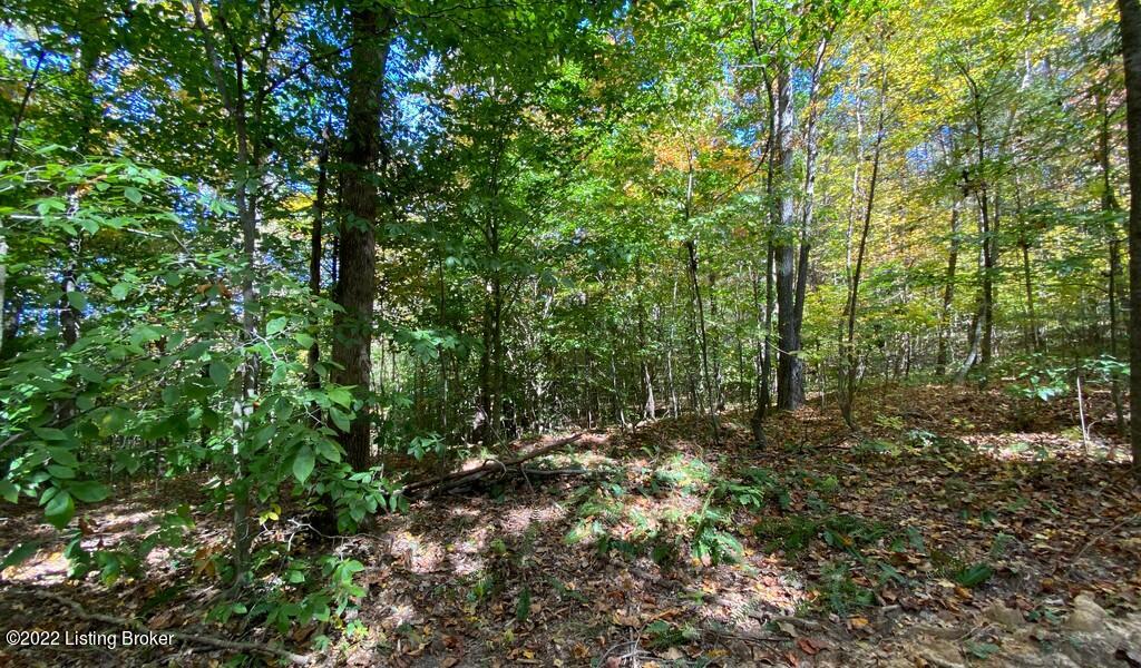 L40 Ted Logsdon Road Clarkson, KY 42726 - Photo 4 of 8 River View Fall177