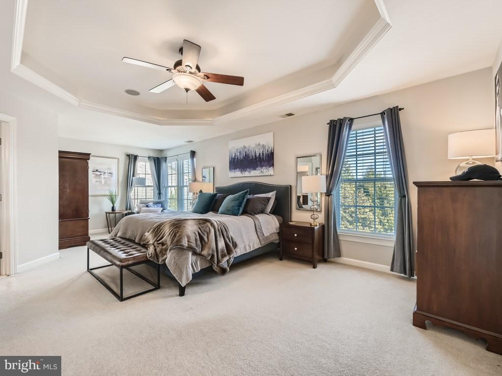 38 Smith Mill Road New Freedom, PA 17349 - Photo 14 of 28 Primary bedroom - tray ceiling with lighting