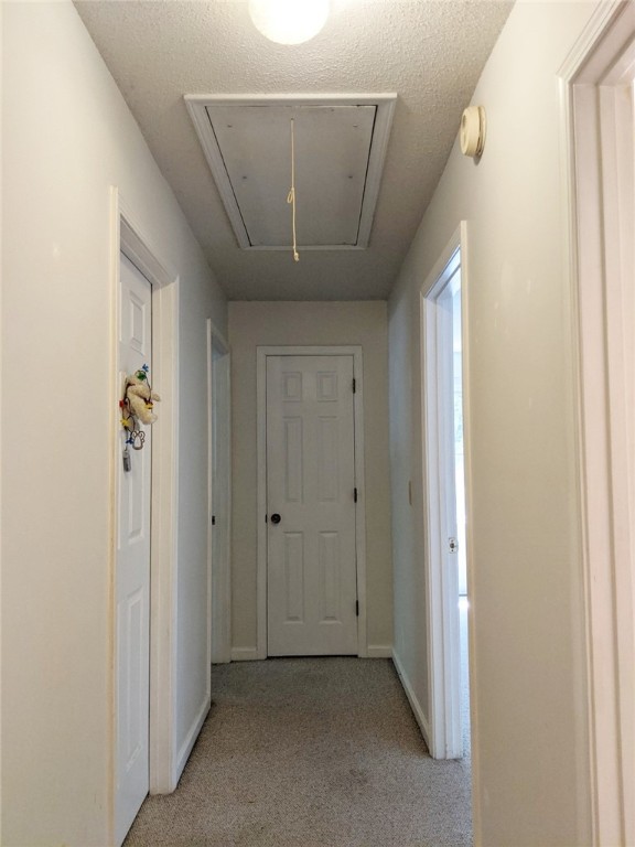 1145 Old Shirley Road Central, SC 29630 - Photo 16 of 50 Gallery Image 16
