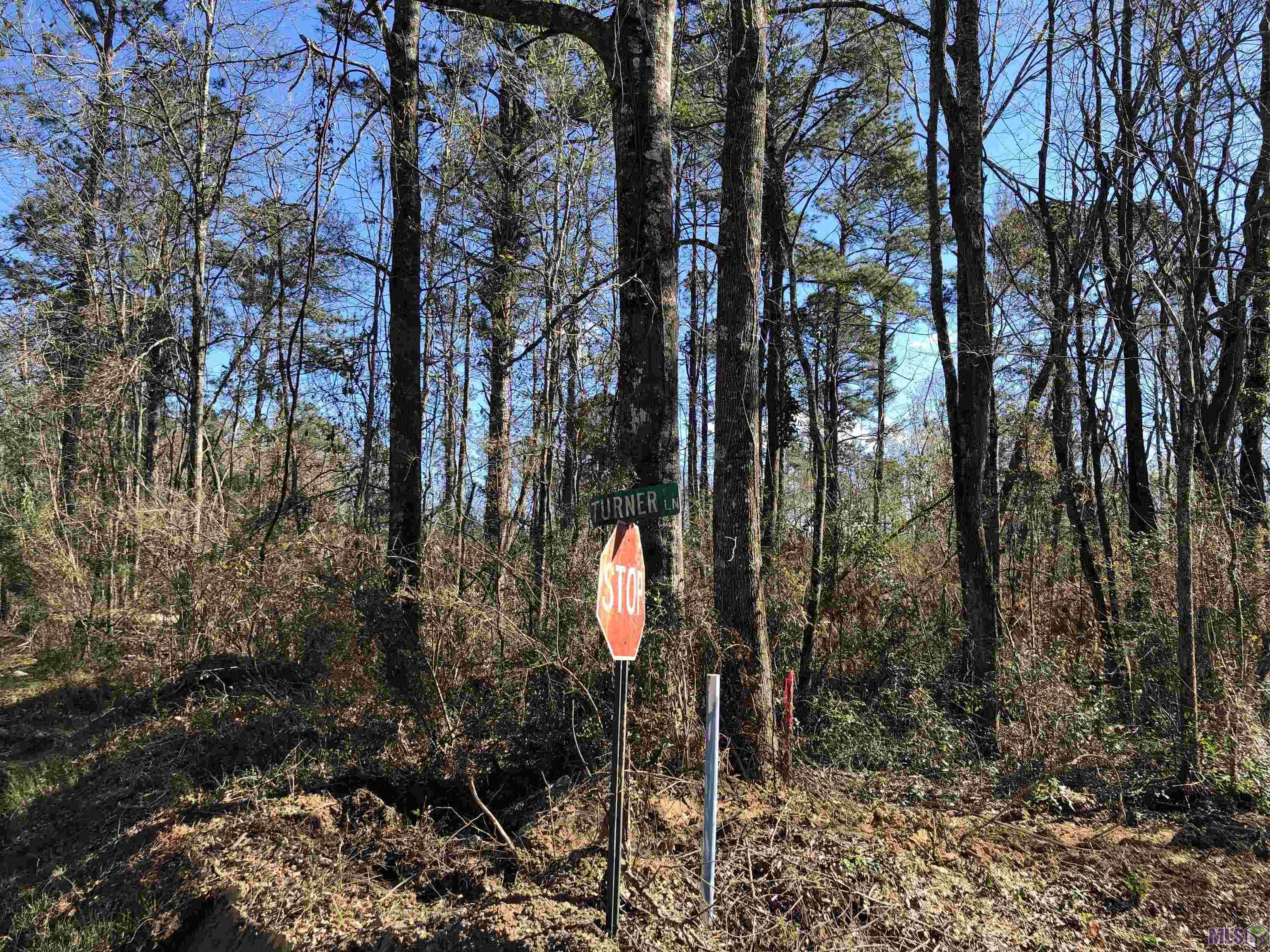 Tbd McDaniel Road Amite, LA 70422 - Photo 2 of 9