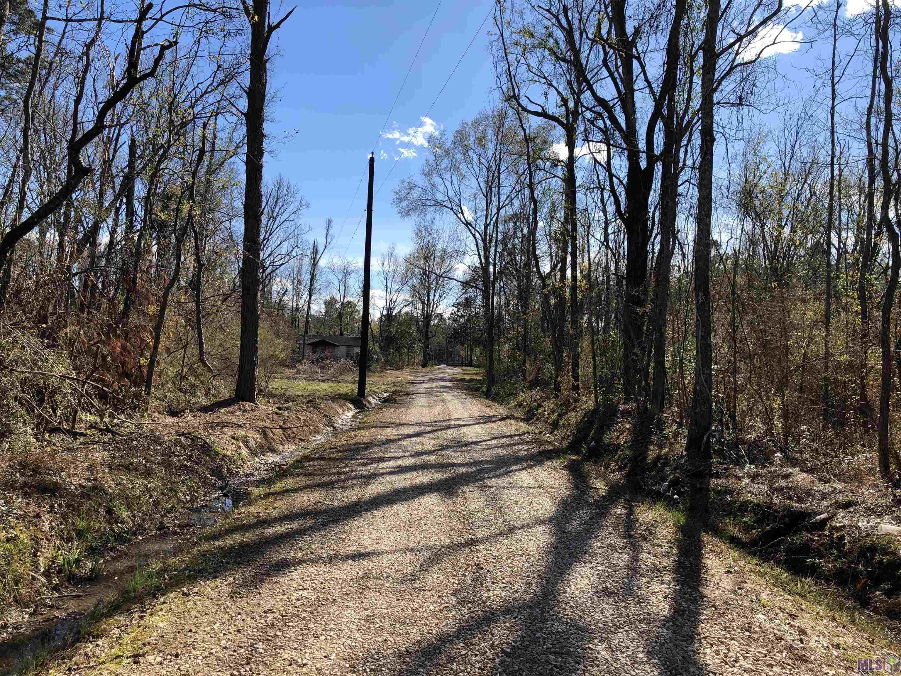 Tbd McDaniel Road Amite, LA 70422 - Photo 3 of 9