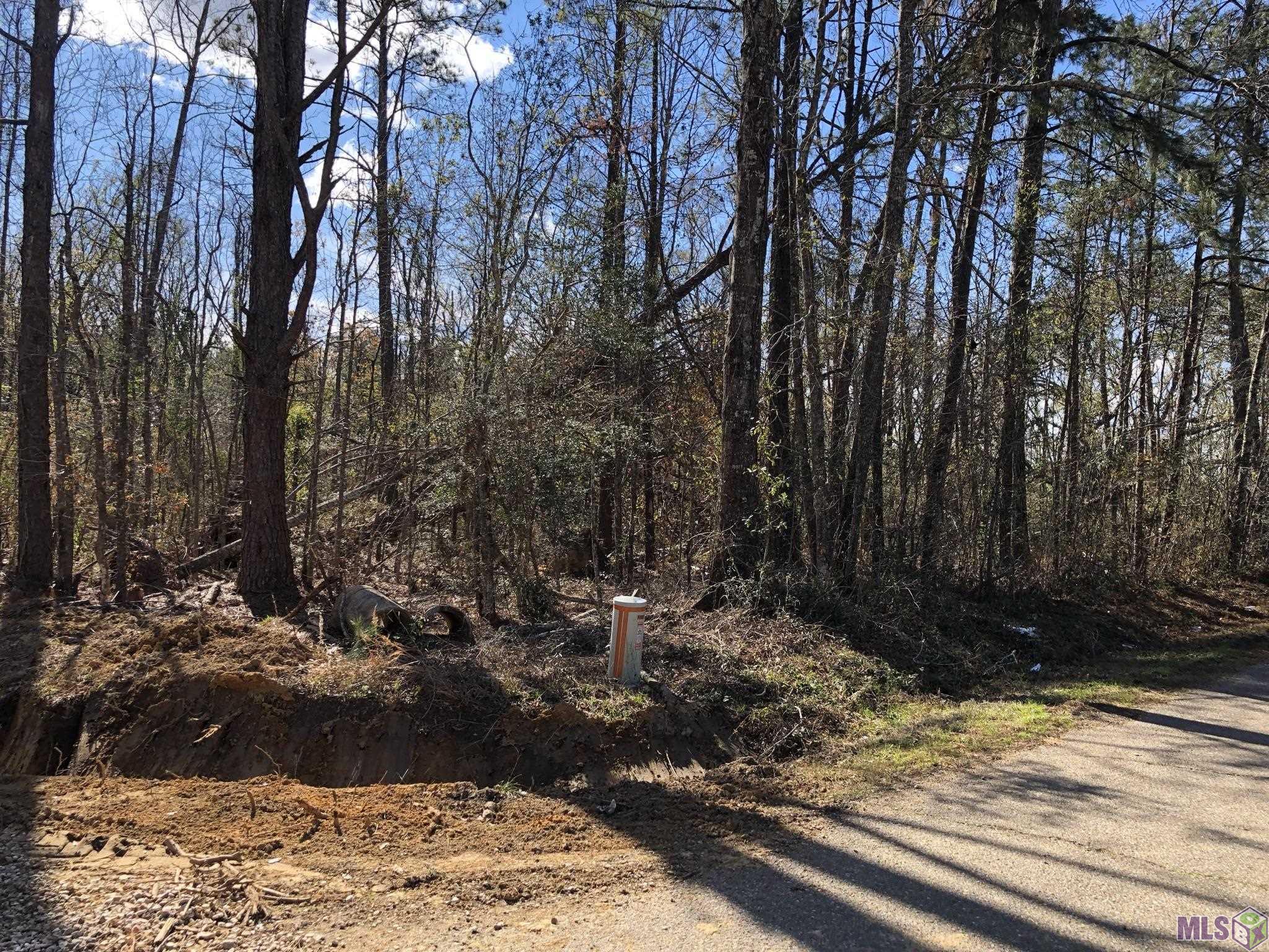 Tbd McDaniel Road Amite, LA 70422 - Photo 4 of 9