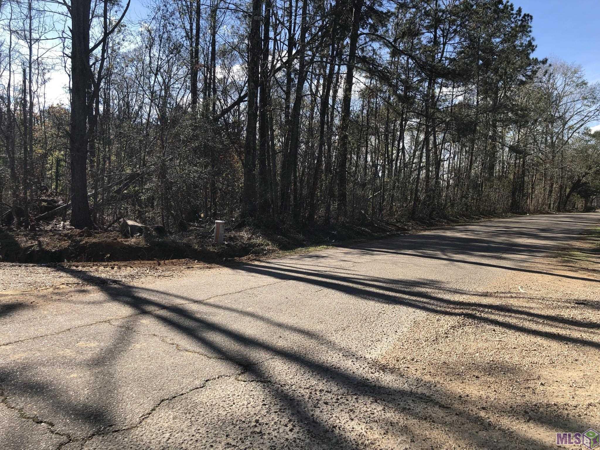 Tbd McDaniel Road Amite, LA 70422 - Photo 8 of 9