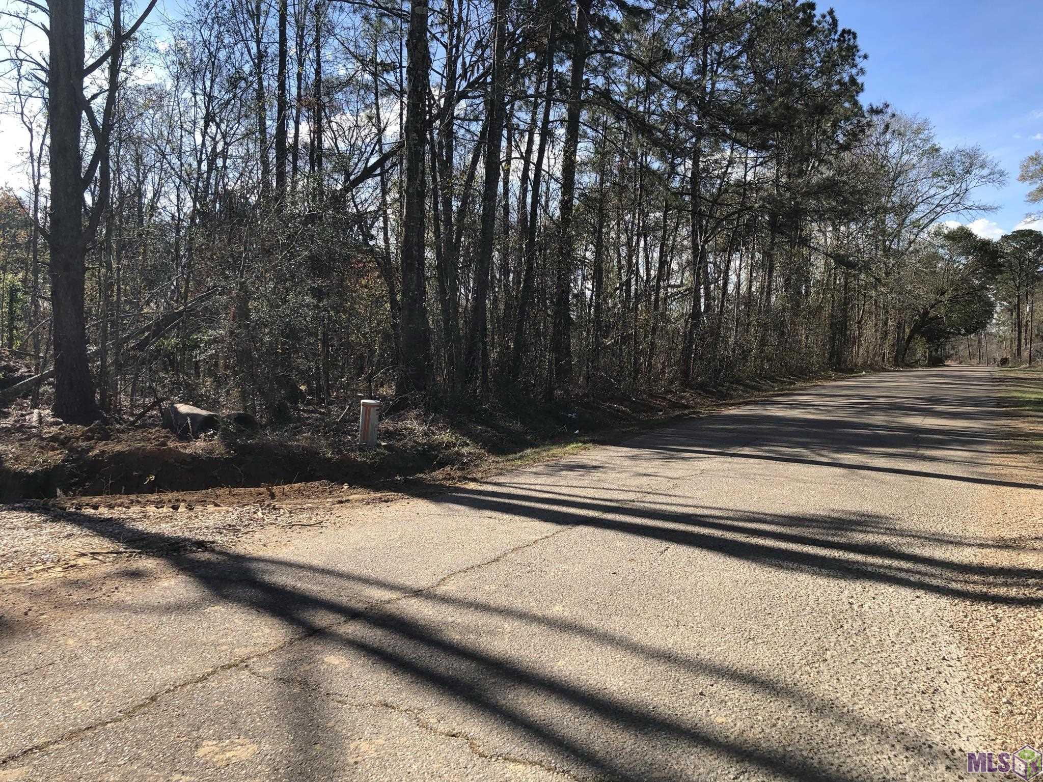 Tbd McDaniel Road Amite, LA 70422 - Photo 9 of 9
