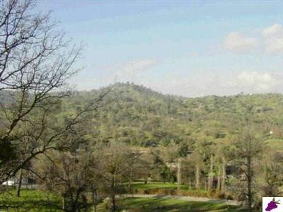 31591 River Road Coarsegold, CA 93614 - Photo 8 of 9 Gallery Image 8