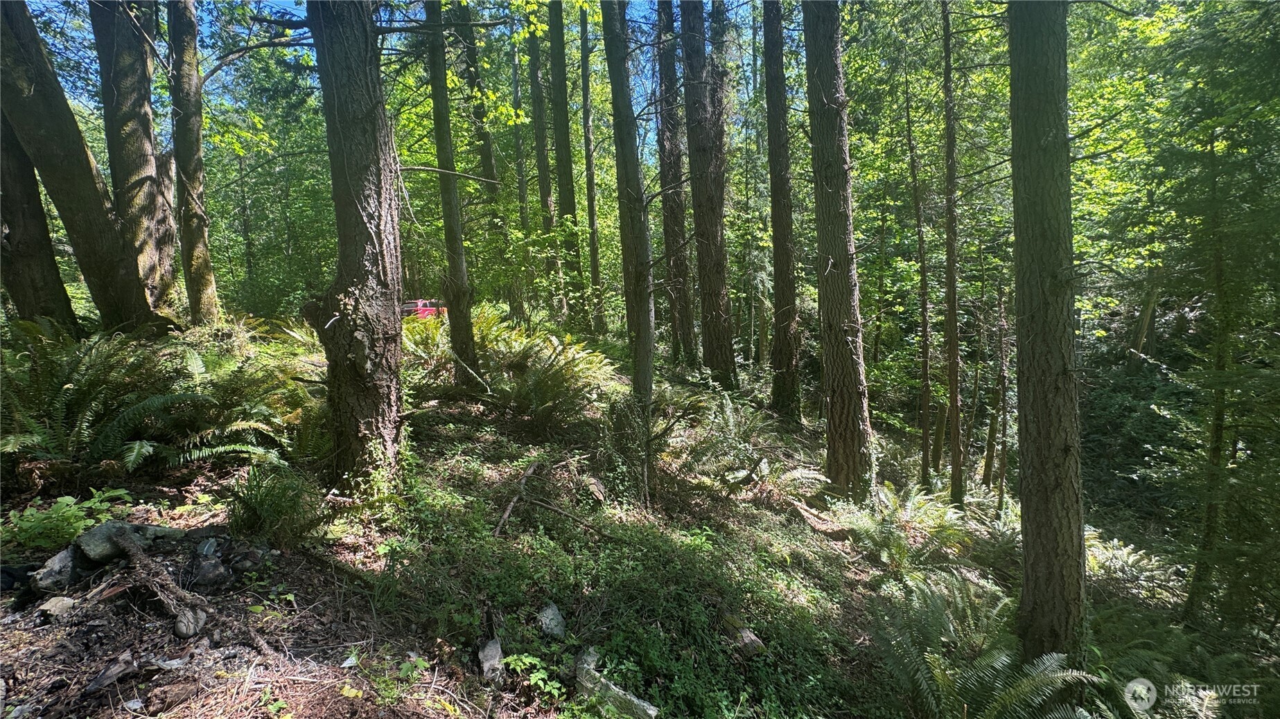 12820 Southwest Bank Road Vashon, WA 98070 - Photo 10 of 13 Gallery Image 10