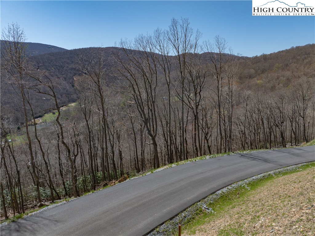 Lot 10 Poplar Forest Drive Boone, NC 28607 - Photo 11 of 12