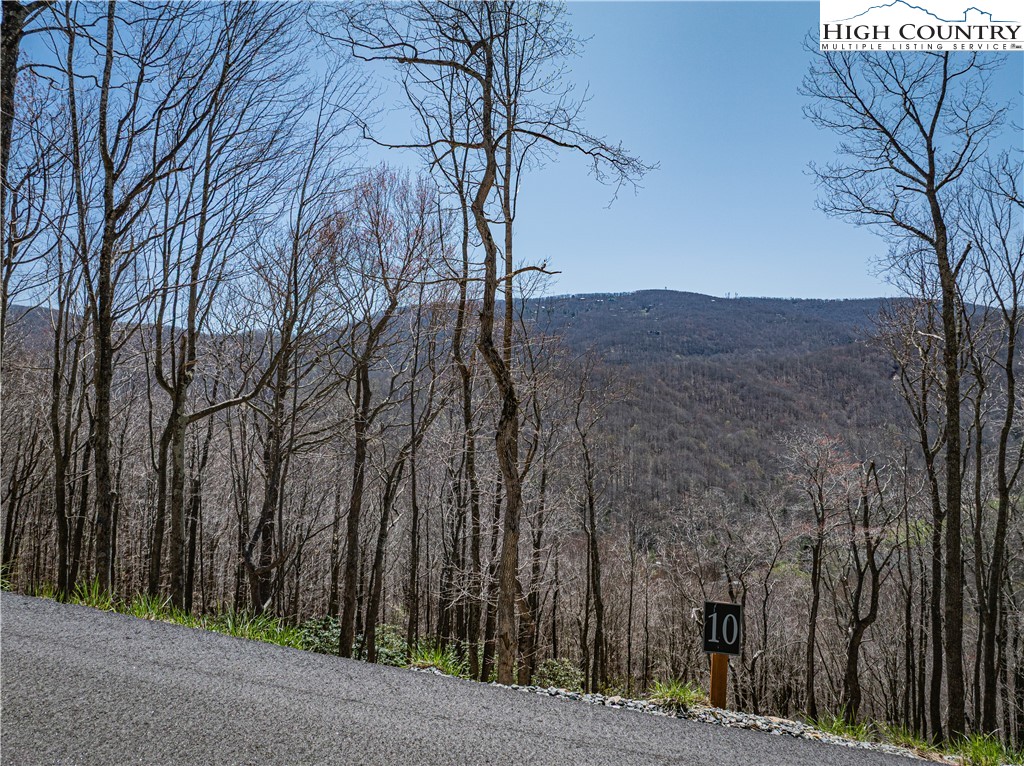 Lot 10 Poplar Forest Drive Boone, NC 28607 - Photo 2 of 12