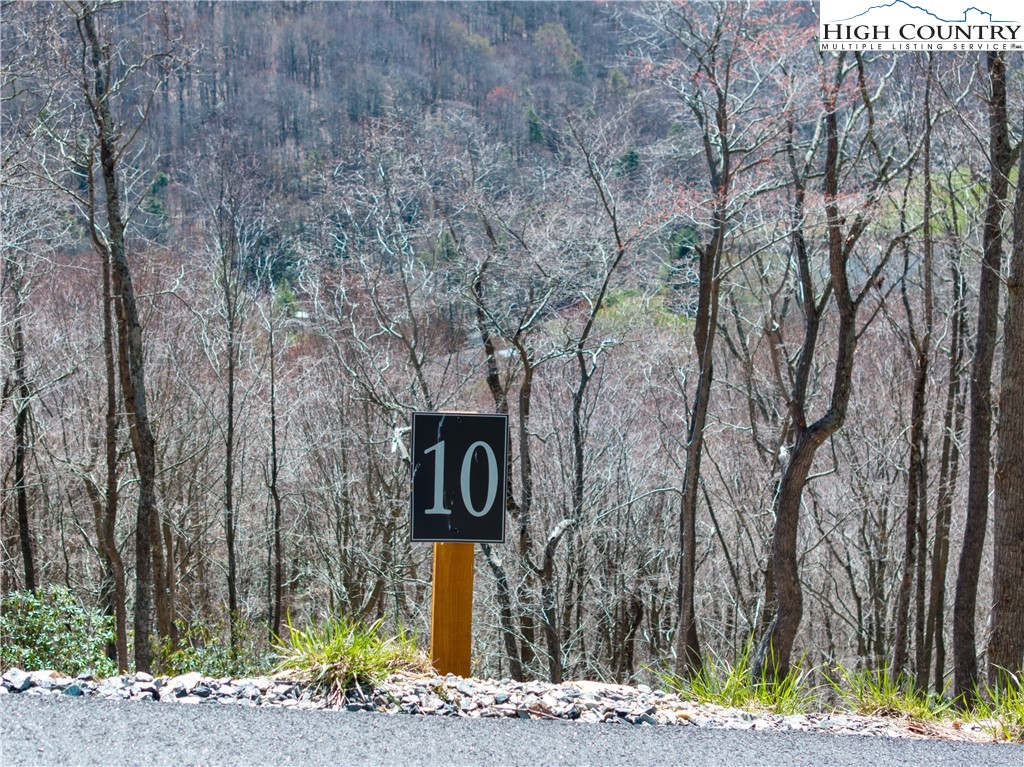 Lot 10 Poplar Forest Drive Boone, NC 28607 - Photo 3 of 12
