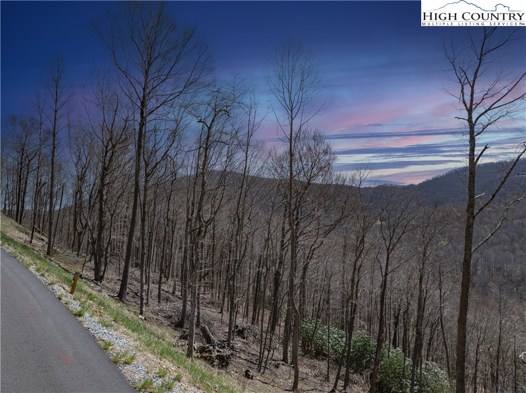 Lot 10 Poplar Forest Drive Boone, NC 28607 - Photo 4 of 12