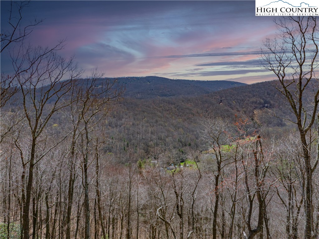 Lot 10 Poplar Forest Drive Boone, NC 28607 - Photo 5 of 12
