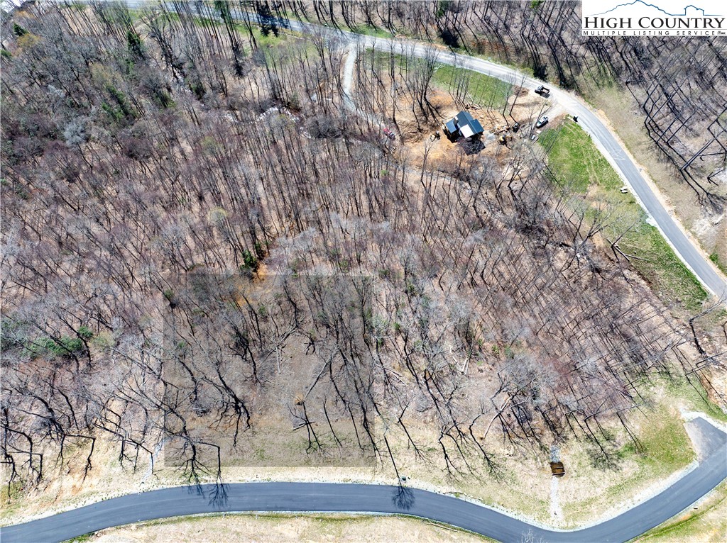 Lot 10 Poplar Forest Drive Boone, NC 28607 - Photo 9 of 12