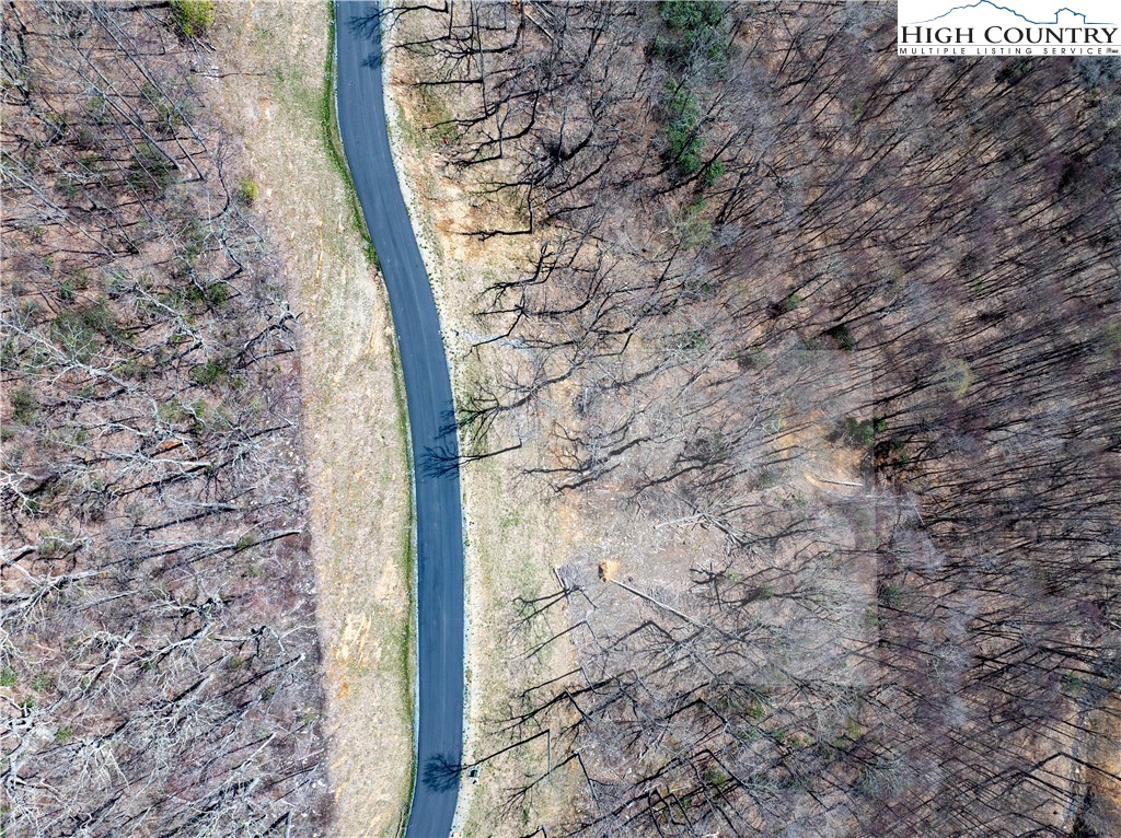 Lot 10 Poplar Forest Drive Boone, NC 28607 - Photo 10 of 12