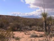 0 North Ocotillo Road North Benson, AZ 85602 - Photo 2 of 2