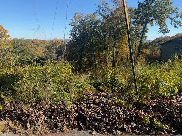 $85,000 | Lot 201 Stuart Terrace, Chattanooga, TN 37415