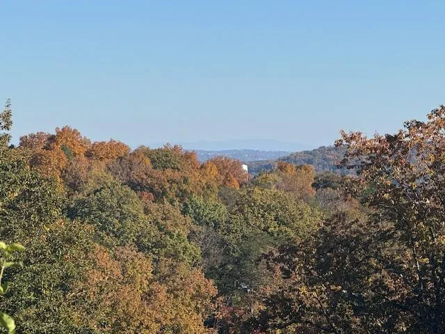 $85,000 | Lot 201 Stuart Terrace, Chattanooga, TN 37415