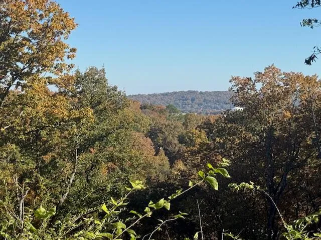 $85,000 | Lot 201 Stuart Terrace, Chattanooga, TN 37415