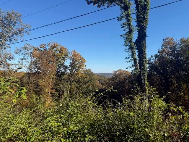 $85,000 | Lot 201 Stuart Terrace, Chattanooga, TN 37415