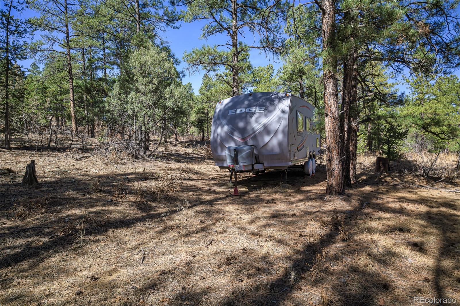 17990 King Road Weston, CO 81091 - Photo 16 of 49 a view of a backyard with large trees