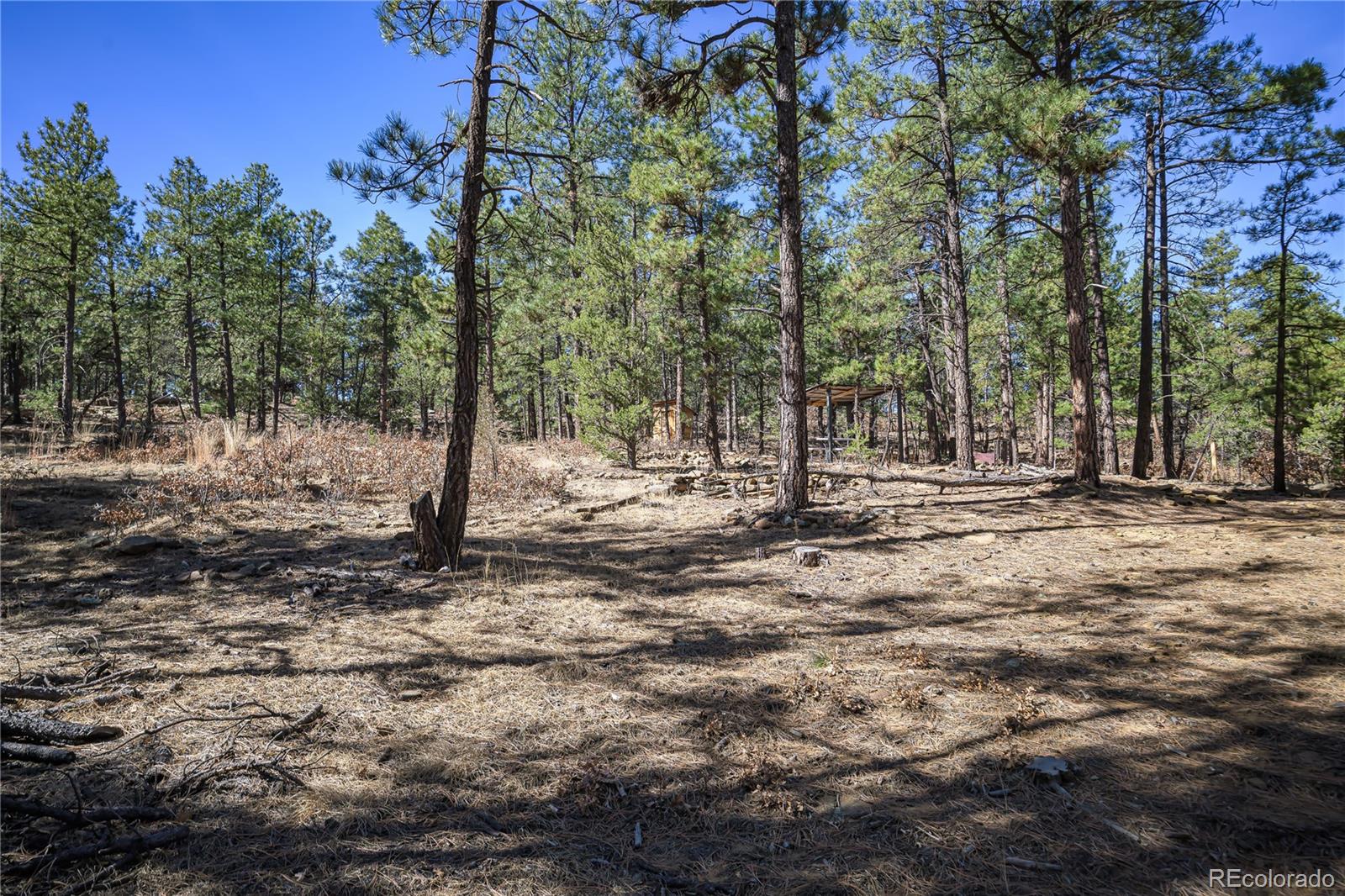 17990 King Road Weston, CO 81091 - Photo 17 of 49 a view of outdoor space with trees