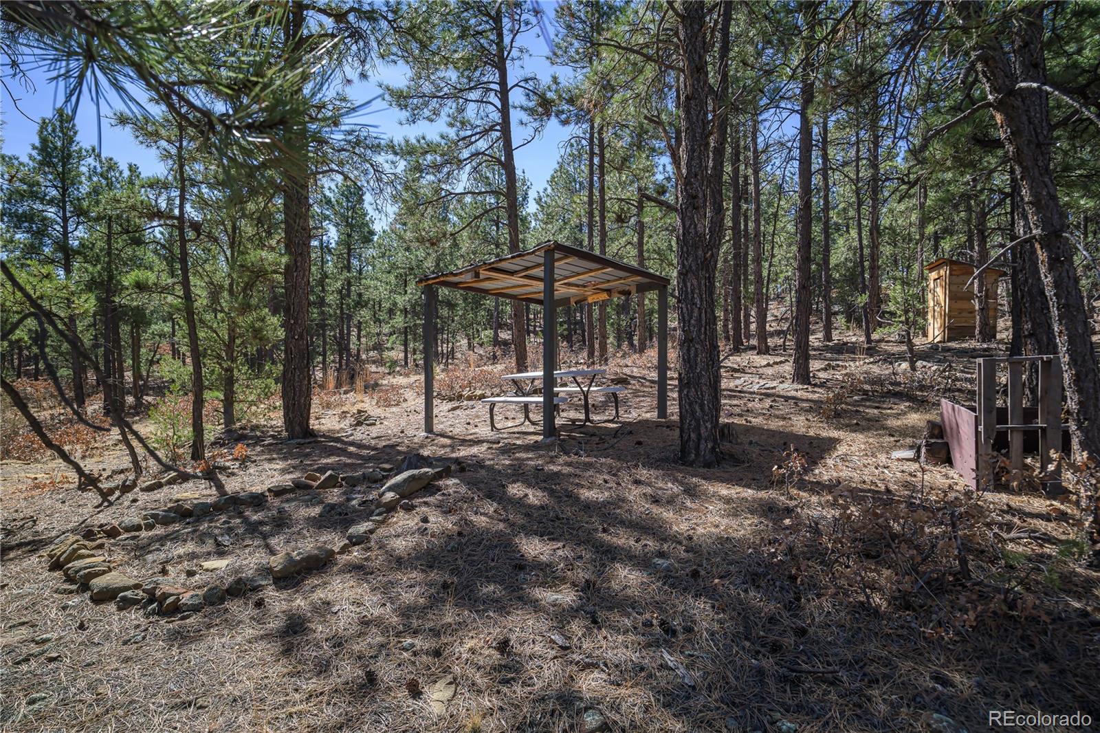 17990 King Road Weston, CO 81091 - Photo 19 of 49 a view of a backyard with large trees
