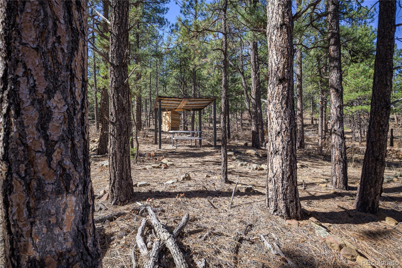 17990 King Road Weston, CO 81091 - Photo 22 of 49 a view of a backyard of the house