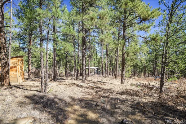 a view of outdoor space with trees