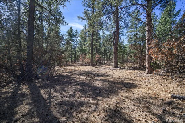 a view of outdoor space with trees