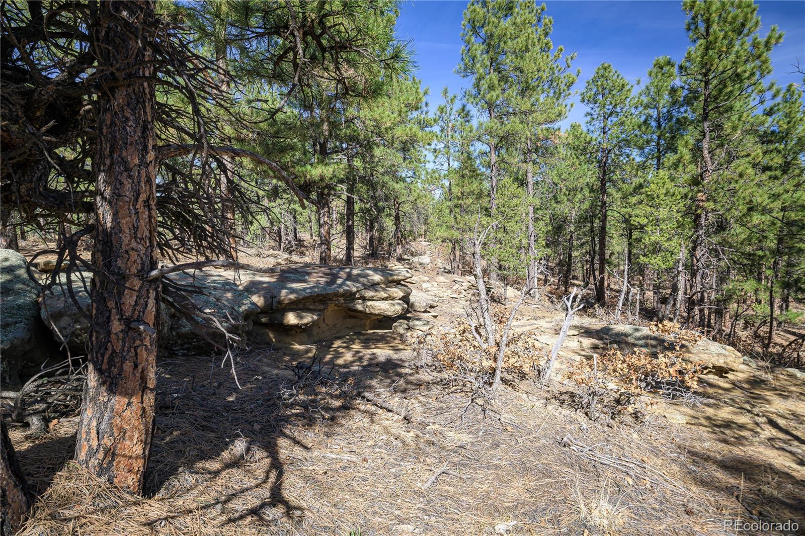 17990 King Road Weston, CO 81091 - Photo 32 of 49 a view of outdoor space