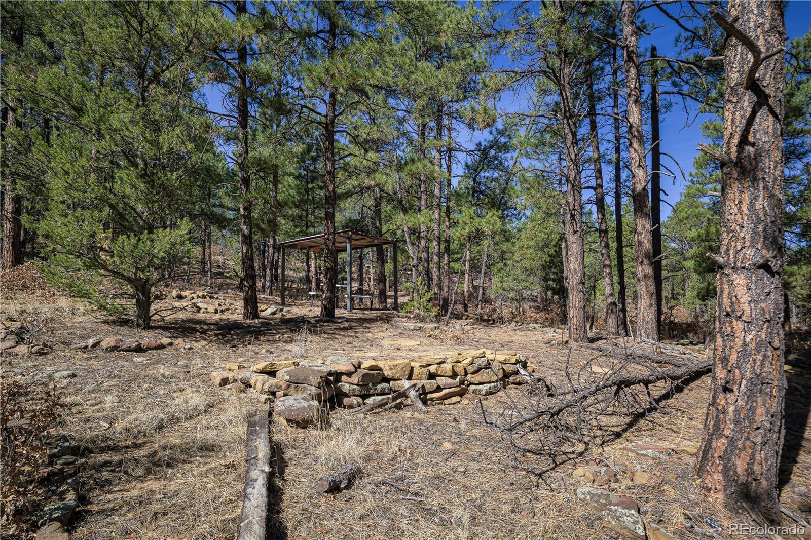 17990 King Road Weston, CO 81091 - Photo 38 of 49 a view of a yard with trees