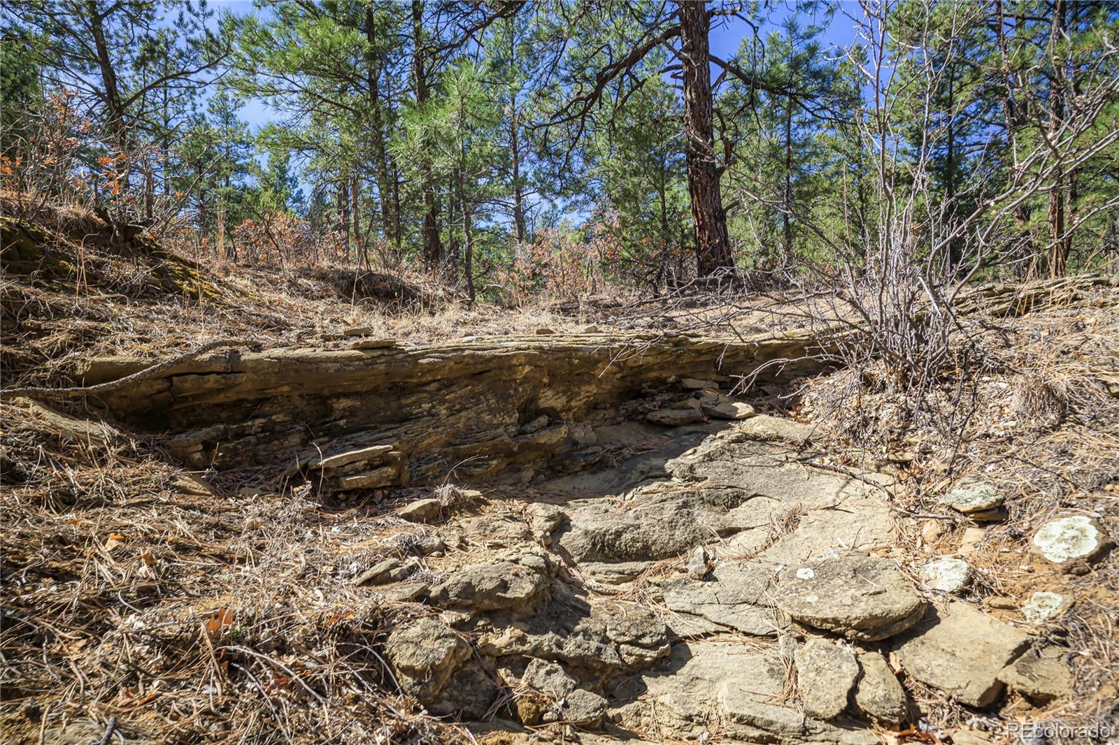 17990 King Road Weston, CO 81091 - Photo 40 of 49