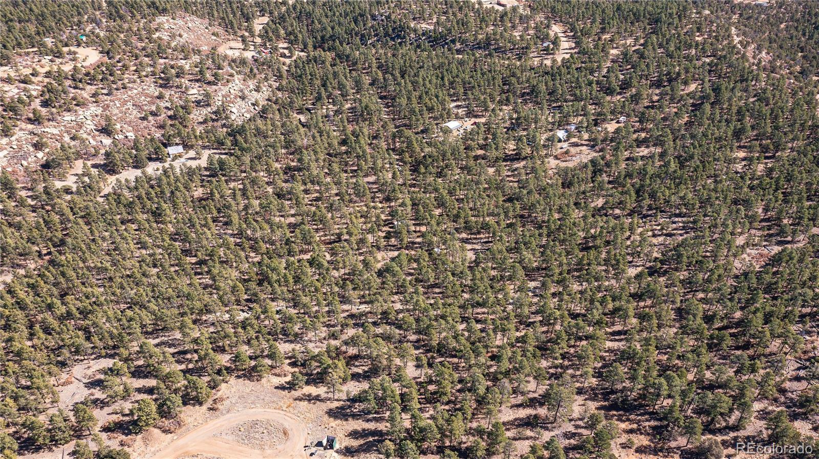 17990 King Road Weston, CO 81091 - Photo 46 of 49 a close up of a plant