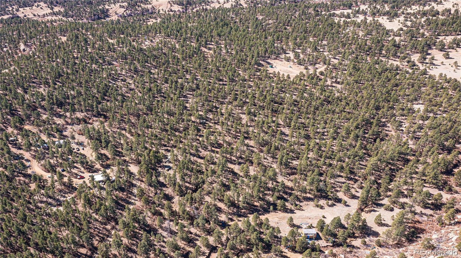 17990 King Road Weston, CO 81091 - Photo 47 of 49 a close up of a plant