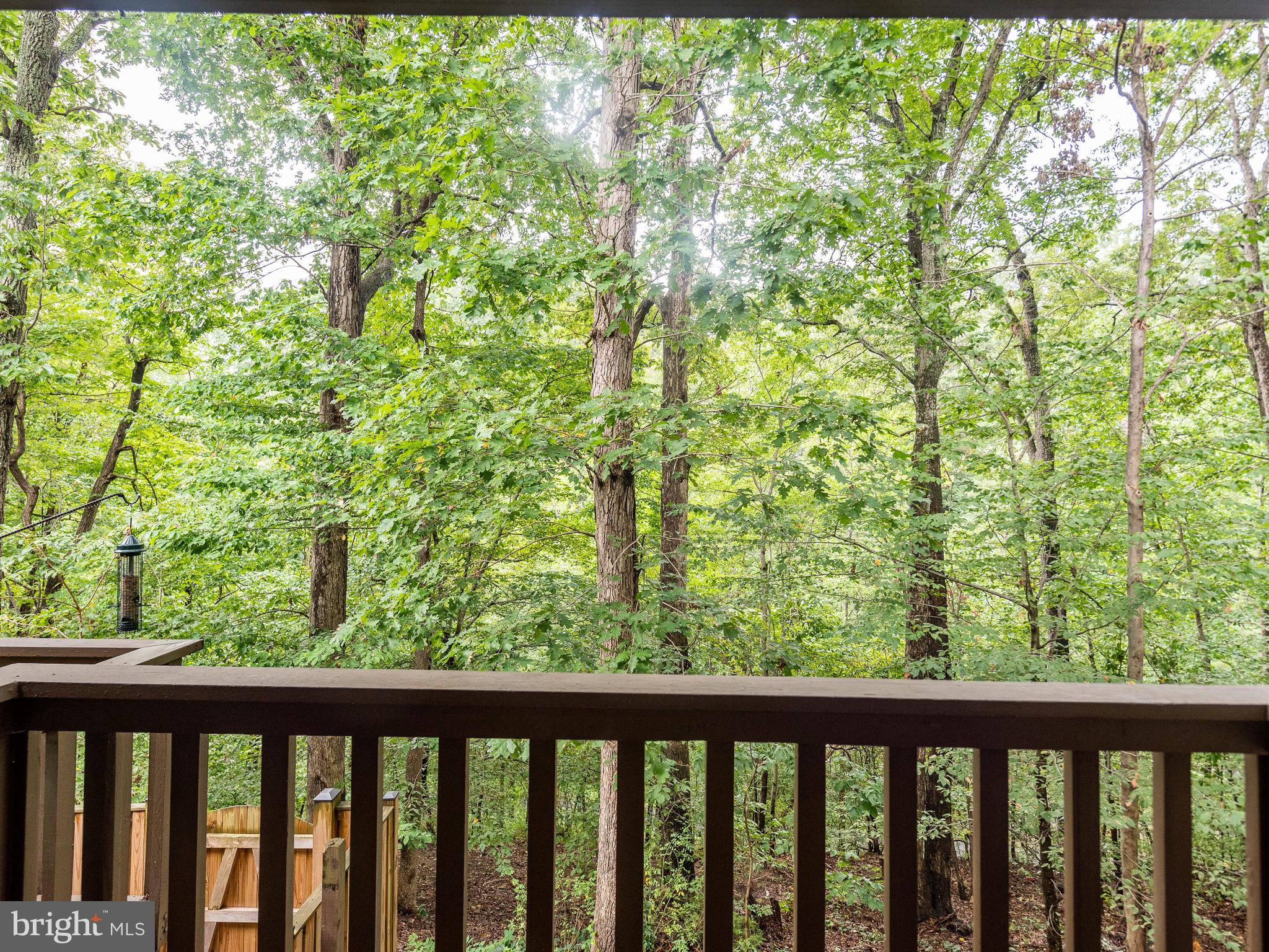8564 Gwynedd Way Springfield, VA 22153 - Photo 18 of 45 Gallery Image 18