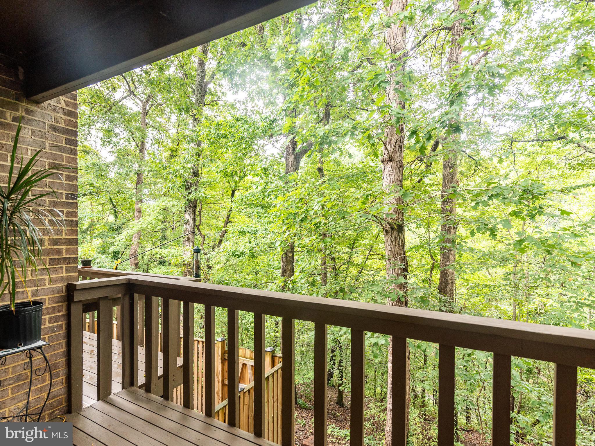 8564 Gwynedd Way Springfield, VA 22153 - Photo 19 of 45 Gallery Image 19